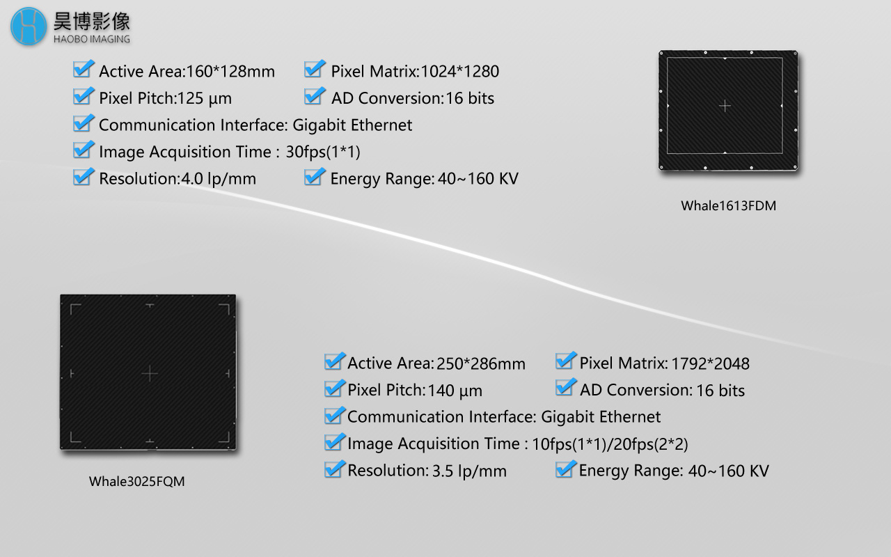 Медициналык сөөк Densitometer2 үчүн рентген Flat Panel Detector