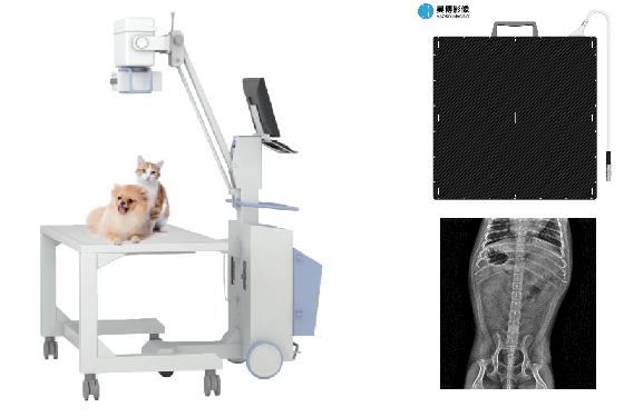 X-ray flatpaneldetektor foar medyske testen foar húsdieren