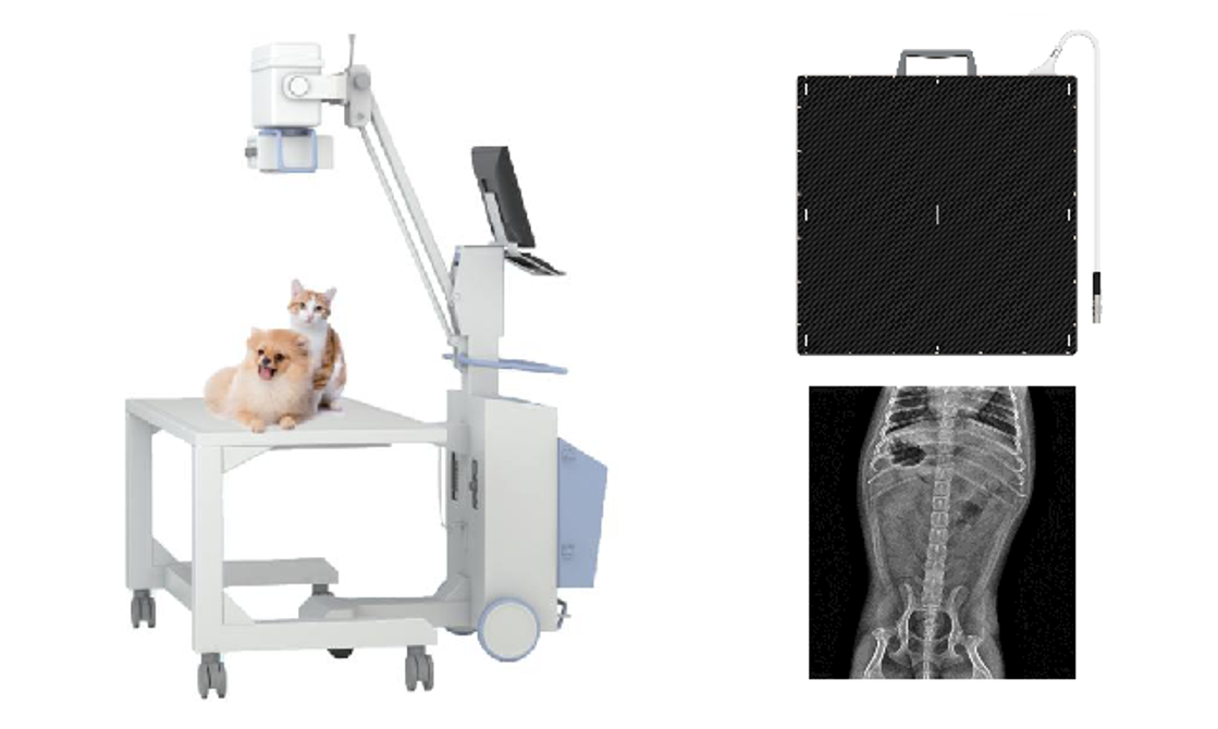 Détecteur à écran plat à rayons X pour les tests médicaux sur animaux de compagnie
